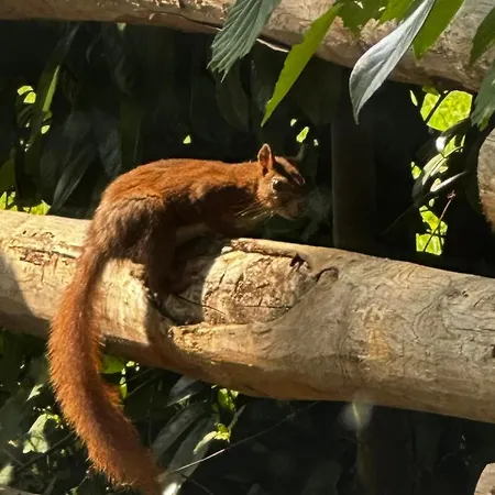 別荘 Choubello Classe 4 Etoiles Fajoles