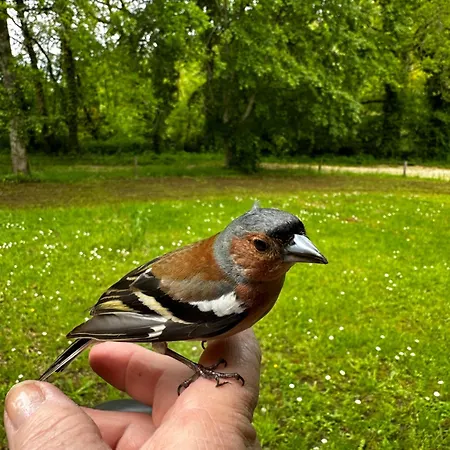 別荘 Choubello Classe 4 Etoiles Fajoles