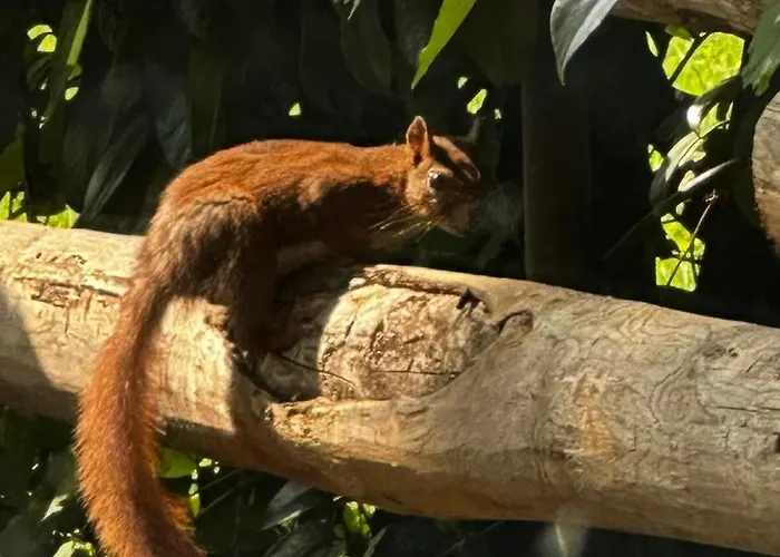 Дом отдыха Choubello Classe 4 Etoiles Fajoles