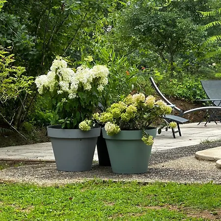 Choubello Classe 4 Etoiles