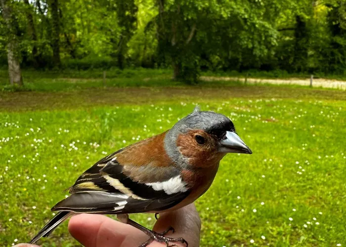 Casa de Férias Choubello Classe 4 Etoiles Fajoles